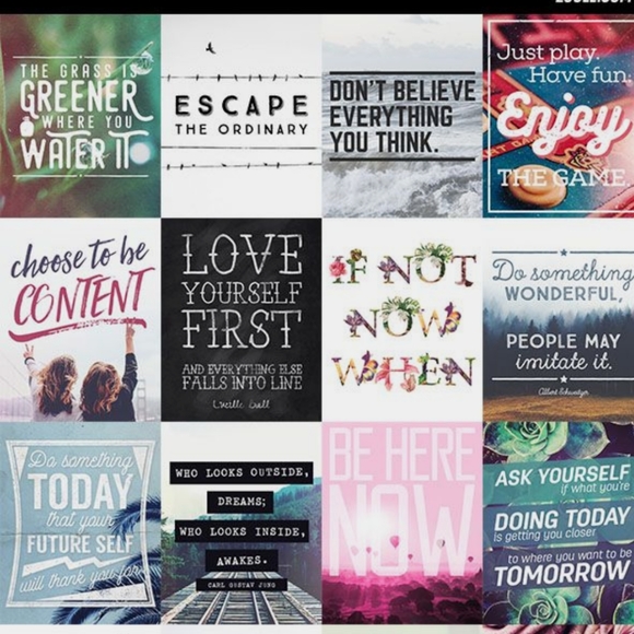 Meet your Posher, Laura 🌹❤ - Picture 4 of 4